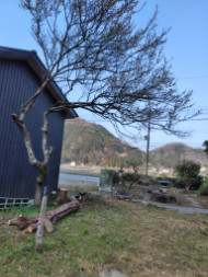 診療台
